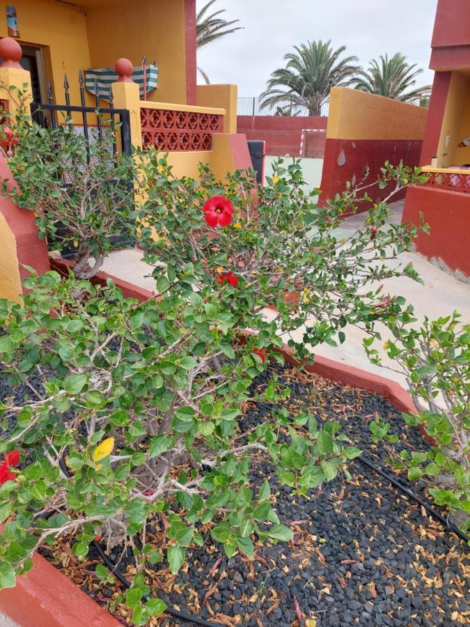 La Paloma Buena Esperanza Apartment Costa De Antigua Exterior photo